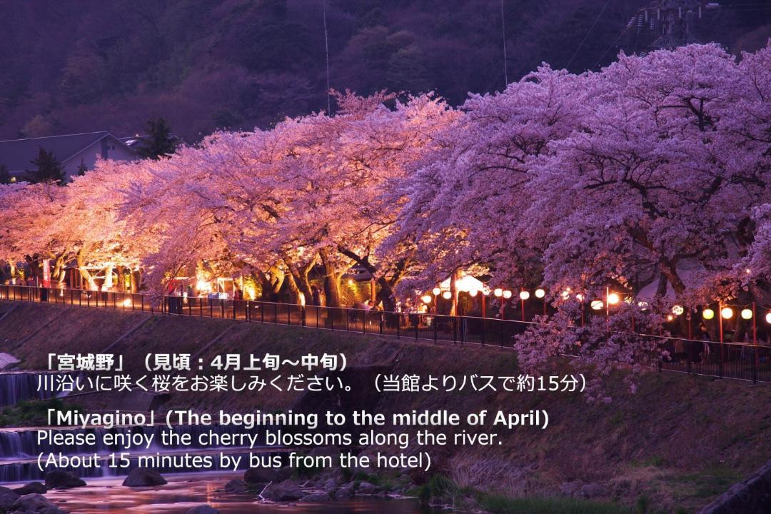 Photo of Others in Hakone