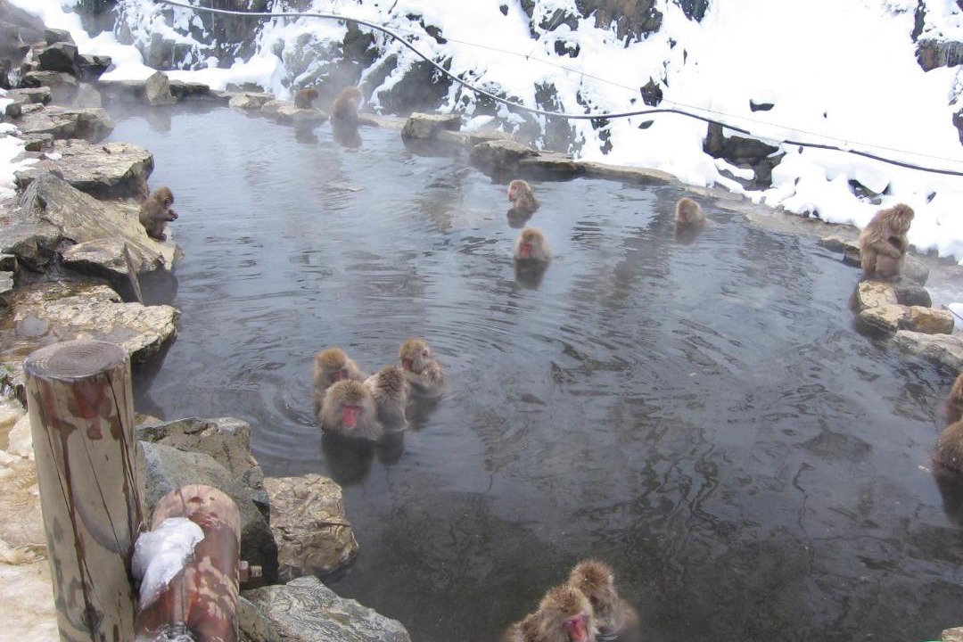 Photo of Others in Yudanaka Shibu Onsen