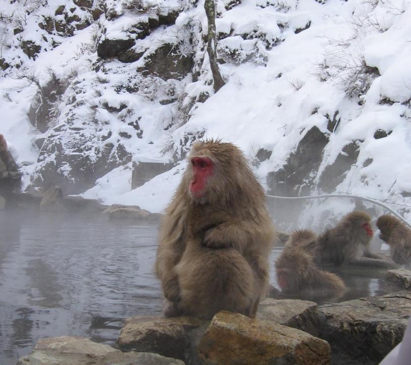 Photo of Others in Yudanaka Shibu Onsen