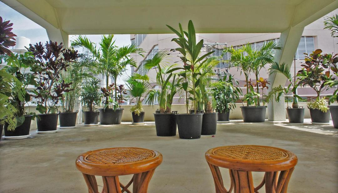Photo of Patio Balcony in Taketomi-jima Taketomi-cho
