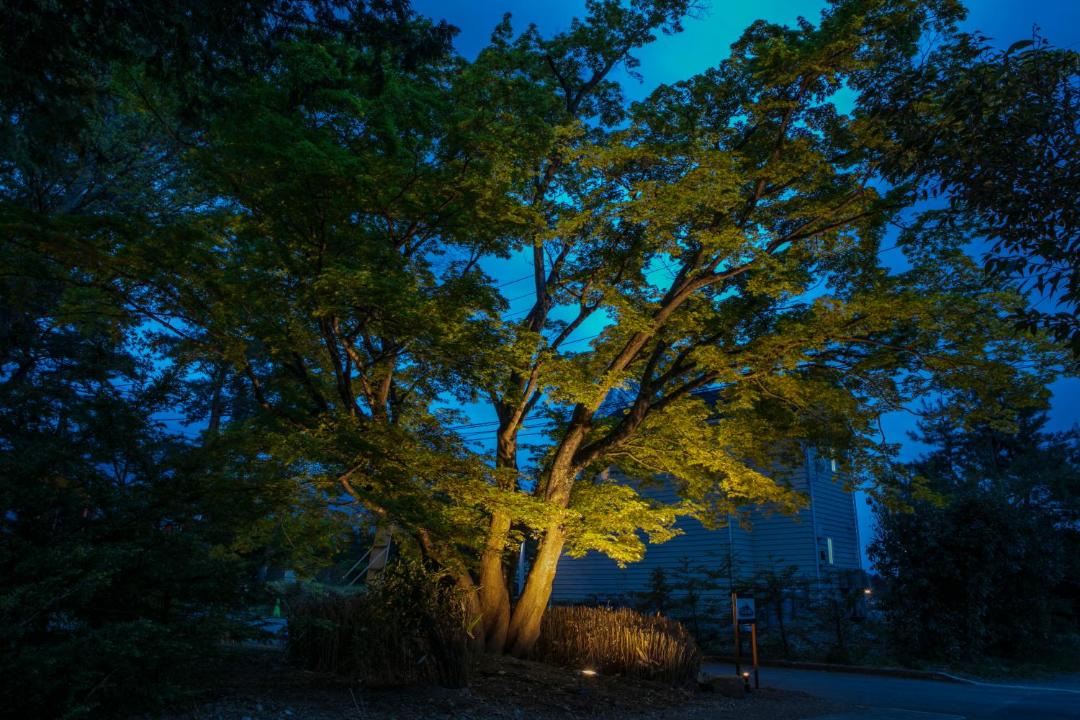 Photo of Others in Fujikawaguchiko
