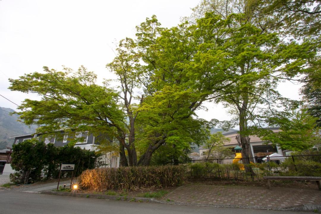 Photo of Others in Fujikawaguchiko
