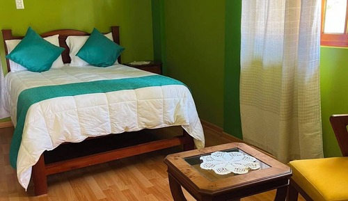 Comfort Single Room, Garden View