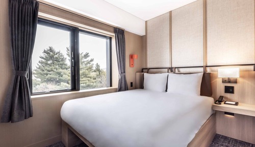 Room, 1 Queen Bed