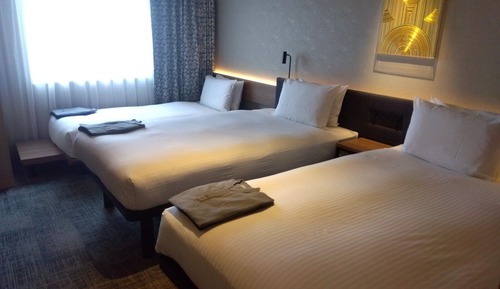 Comfort Twin Room (3 guests)