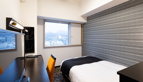 Single Room, 1 Twin Bed