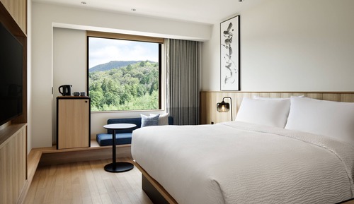 Standard Room, 1 King Bed