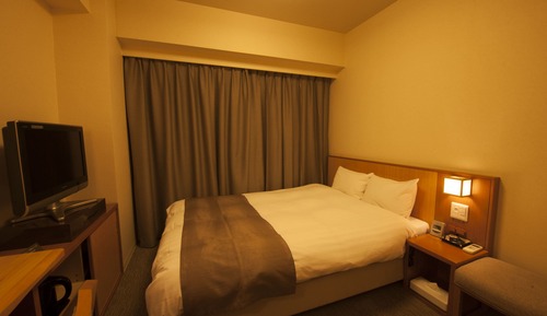 Double Room, (Single use) Non Smoking (No Cleaning during the stay)