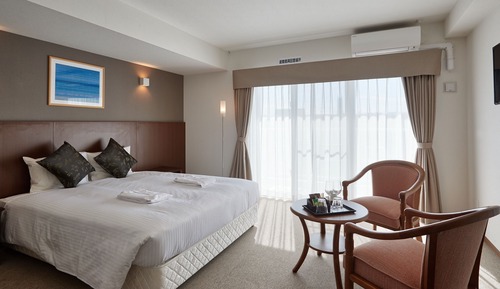 (Hotel Type) Double Room