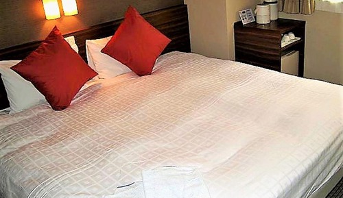 Eco Plan Double Room, Non Smoking