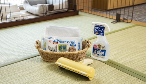 Dog Friendly Room