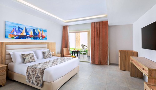 Deluxe Double or Twin Room