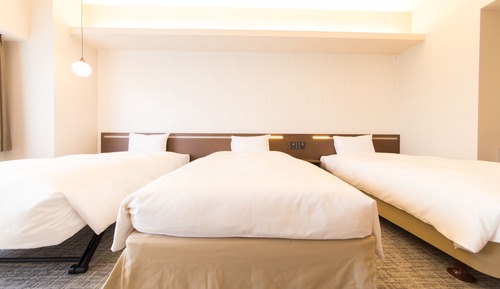 Standard Triple Room, Non Smoking (separate bathroom)