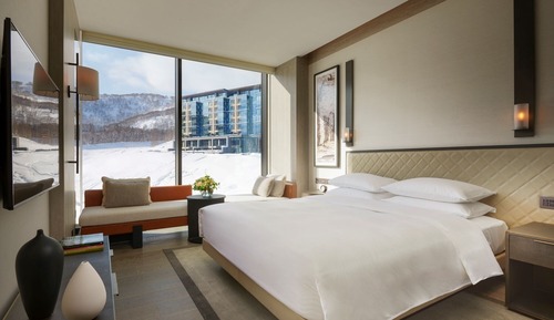 Room, 1 King Bed, Mountain View