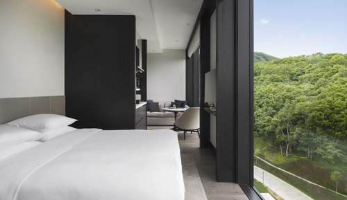 Studio, 1 King Bed (Residence)