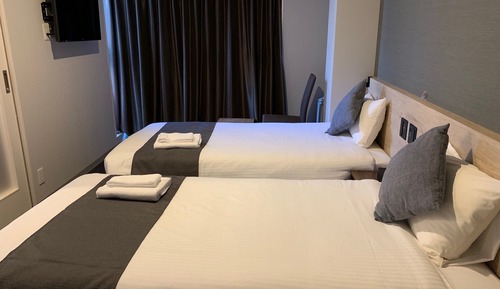 Standard Twin Room