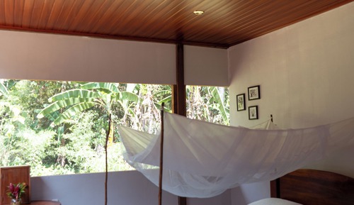 Standard Bungalow, Pool View