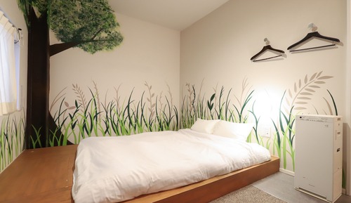 Deluxe Double Room, Non Smoking