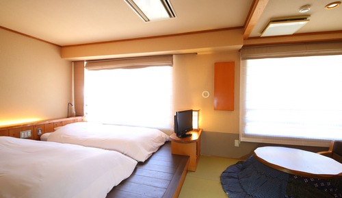 Compact Twin Room