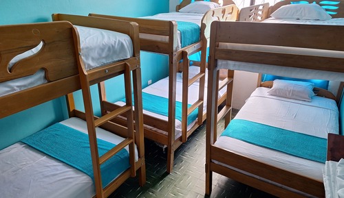 Basic Shared Dormitory, 1 Bedroom, Pool View