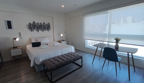 Comfort Studio Suite (504)