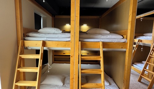 Dormitory Lower Bunk [Mixed Gender Floor] , Non Smoking