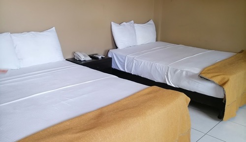 Comfort Twin Room