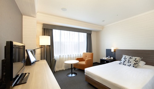 Standard Double Room, Non Smoking (22sqm 160cm bed)