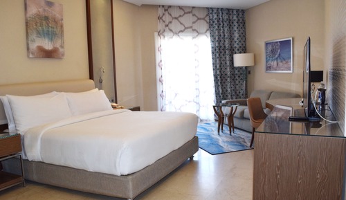 Room, 1 King Bed
