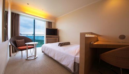xxxSemidouble Room