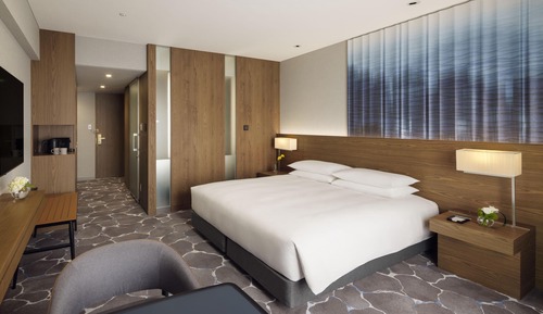Room, 1 King Bed, City View