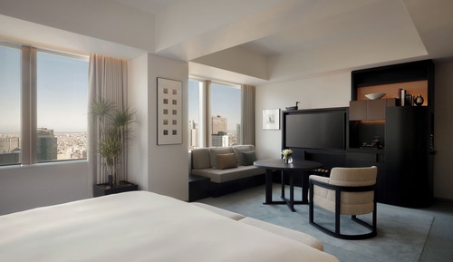 Room, 1 King Bed