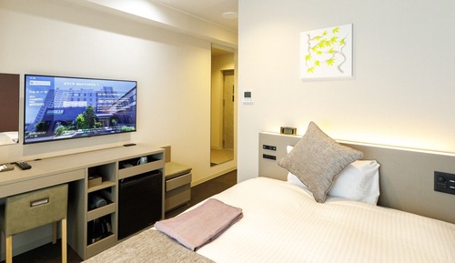 Single Room, Non Smoking