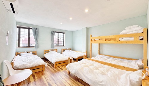 Standard Apartment Green