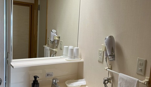 Traditional Room, Lake View, Non Smoking (10 tatami mat size) [Main Building]