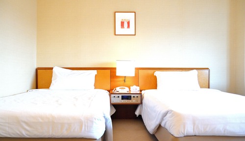 Standard Twin Room, Non Smoking, Double Occupancy