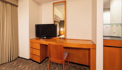 Standard Semi Double Room, Non Smoking