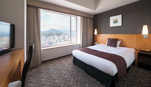 Deluxe Semi Double Room, Non Smoking