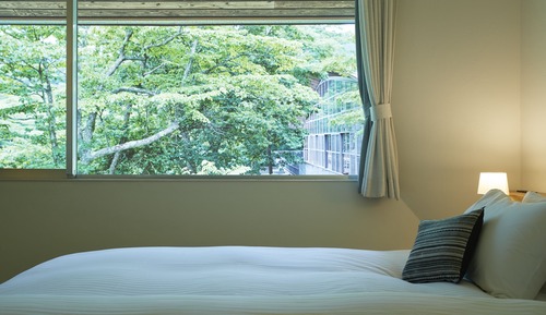 Deluxe Double Room with Shower and Wood Stove, Non Smoking