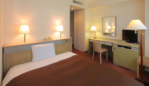 Deluxe Single Room, Smoking