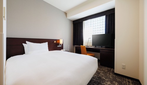 Single Room, Smoking, for 1 Guest