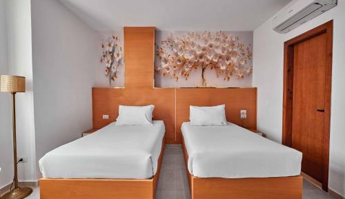 Deluxe Double or Twin Room with City View
