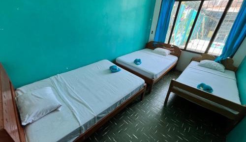 Triple Room with Shared Bathroom