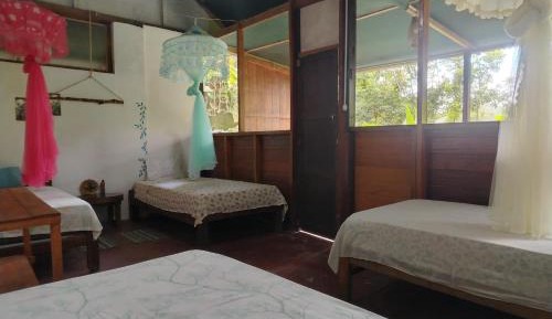 Bed in 4-Bed Mixed Dormitory Room