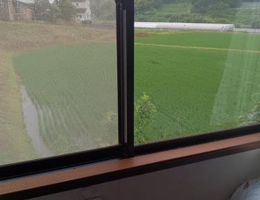 Double Room with Shared Toilet