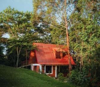 Double or Twin Room with Terrace