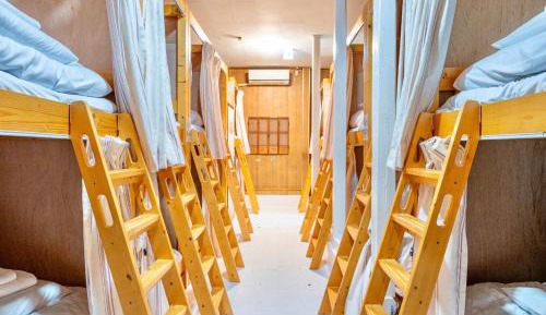 Bunk Bed in Male Dormitory Room 