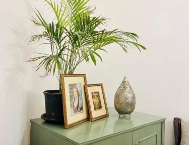 Budget Single Room