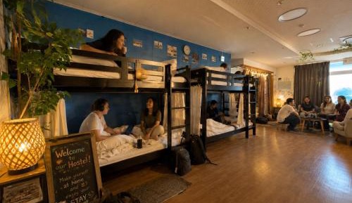 Bunk Bed in Mixed Dormitory Room