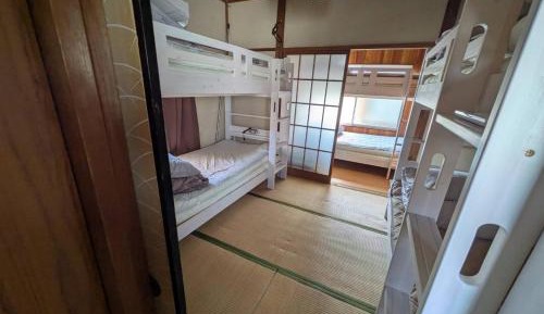 Bunk Bed in Mixed Dormitory Room